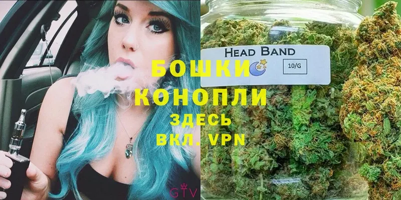 Шишки марихуана SATIVA & INDICA  Михайловск 